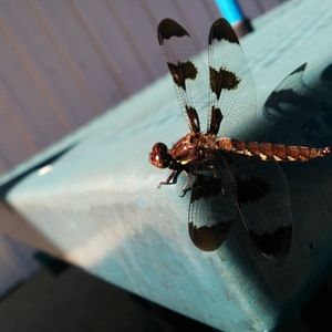 Meet your Posher, Aileen